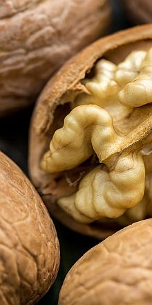 Bio-Walnüsse aus Grenoble ca. 500g