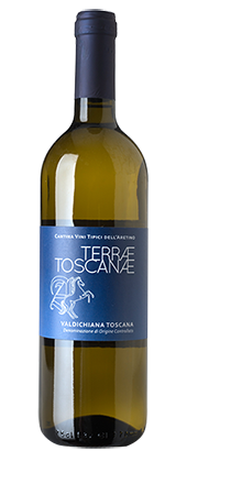 Valdichiana Toscana DOC Bianco 2025