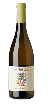 Pinot Grigio Collio DOP 2025