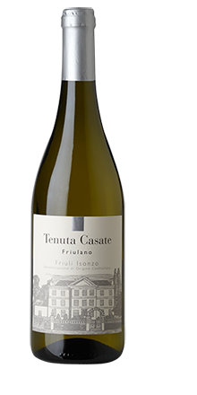 Friulano Friuli Isonzo DOC 2024