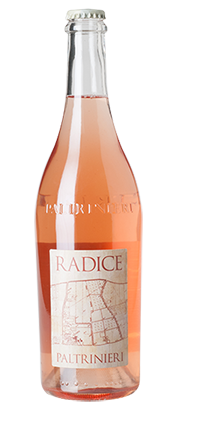 Lambrusco di Modena DOC Radice