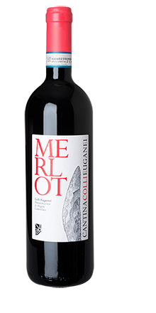 Merlot Colli Euganei DOC 2025