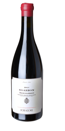 Teroldego Sgarzon IGT 2018