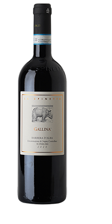 Barbera d´Alba DOC Superiore Gallina 2021