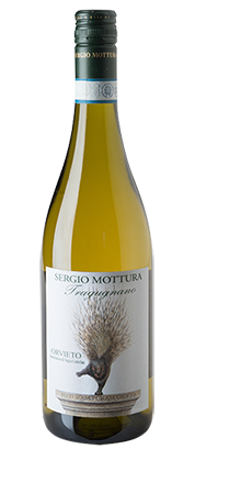 Orvieto Tragugnano 2023 - bis 28.5.25: 14,00 € statt 17,50 €
