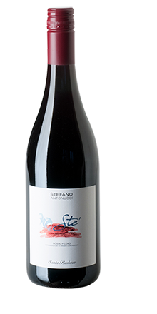 Rosso Piceno DOC Sté 2025