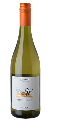 Verdicchio Castelli Jesi DOC Sté 2024