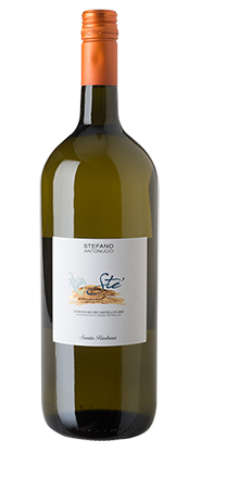 Verdicchio dei Castelli di Jesi DOC Sté 2024