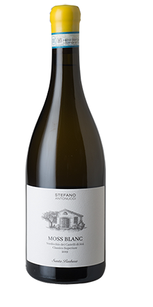 Verdicchio Jesi DOC Cl. Sup. Moss Blanc 2020