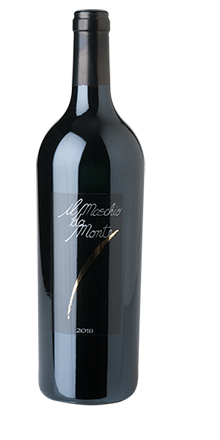 Rosso Piceno DOC Il Maschio da Monte 2019