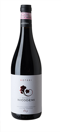 Montepulciano Coll. Teramane DOCG Notari 21