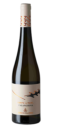 Molise Falanghina DOC Campo in Mare 2024