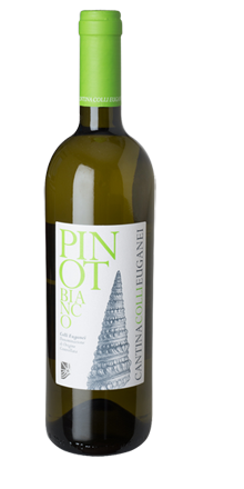Pinot Bianco Colli Euganei DOC 2024