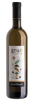 Pecorino Colli Aprutini Grué IGT 2021