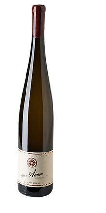 Im Atrium Riesling Ortswein 2021