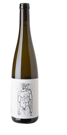 Grüner Veltliner Hofstudien 2025