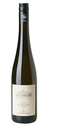 Grüner Veltliner Steinfeder Ried Alte Point 2022