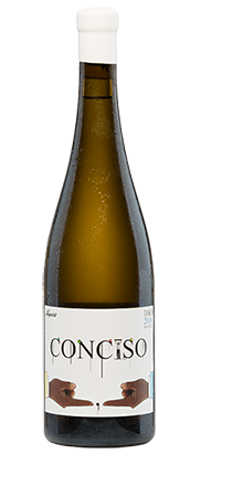 Conciso Branco DOC Dao 2017