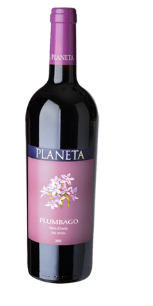 Sicilia Menfi Nero d` Avola DOC Plumbago 2023