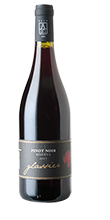 Südtiroler Pinot Noir Riserva DOC 2017