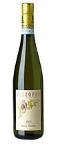 Soave Classico DOC 2023