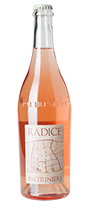 Lambrusco di Modena DOC Radice