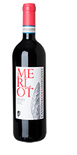 Merlot Colli Euganei DOC 2022