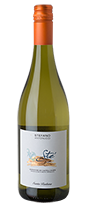 Verdicchio Castelli Jesi DOC Sté 2025