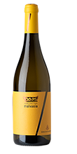 Malvasia Terre degli Osci IGT 2023