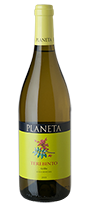 Sicilia Menfi Grillo DOC Terebinto 2025