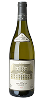 Ried RENNER 1. Lage Kamptal Gr. Veltliner 2019