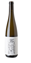 Grüner Veltliner Hofstudien 2021