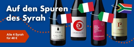 Eine Weinreise nach Frankreich, Italien und Südafrika