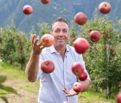 Der mit den Äpfeln spielt. Thomas Kohl bei der Ernte.