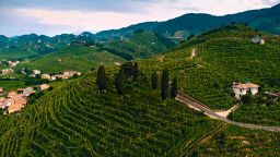 die Hügel des Valdobbiadene